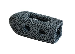 A graphical representation bone-like porous structure of a tantalum-niobium alloy